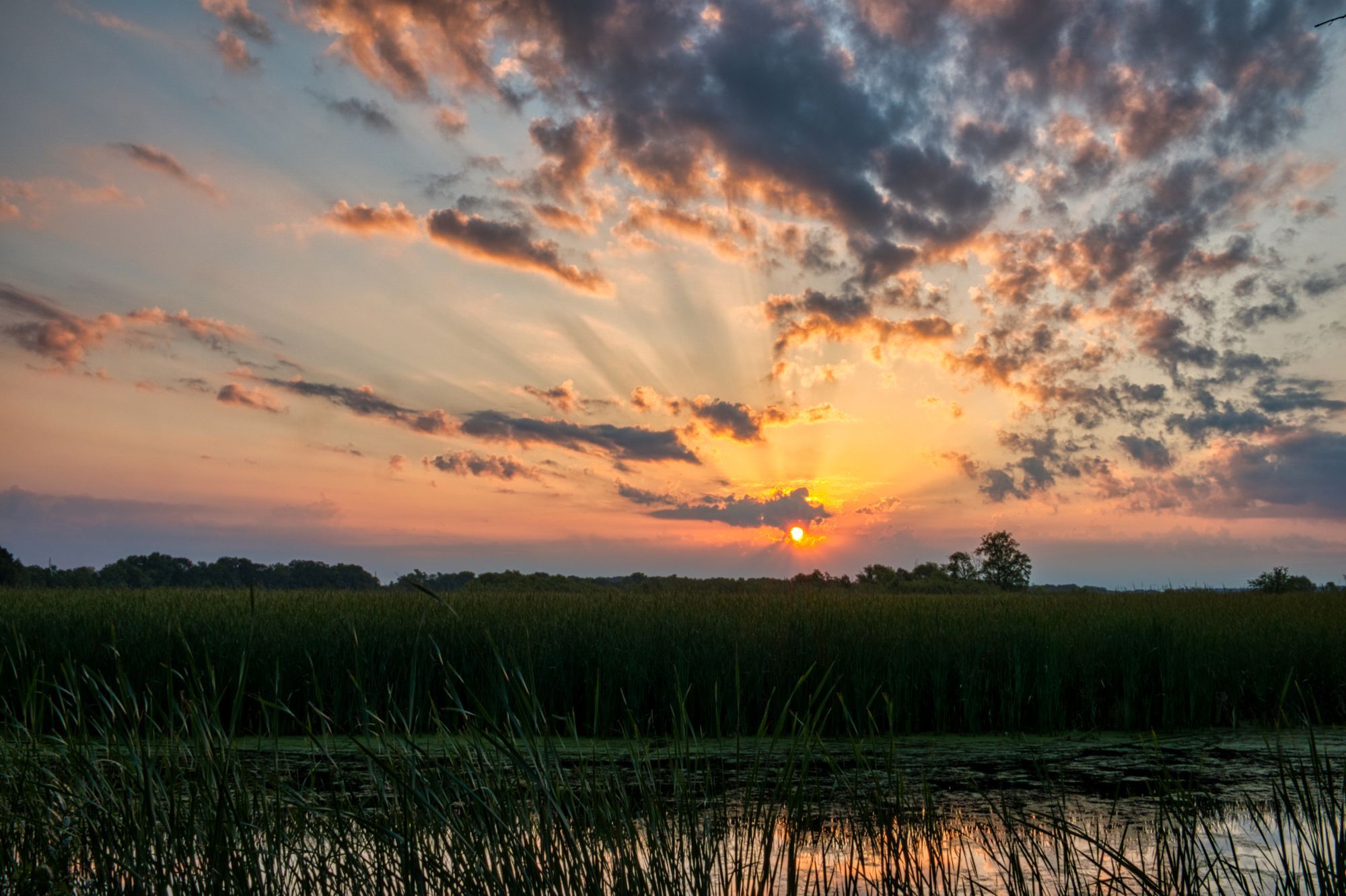 Marsh grass and still water under a cloudy sky at sunset